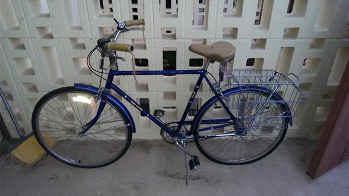 1977 Free Spirit Brittney Blue and Silver or Gray