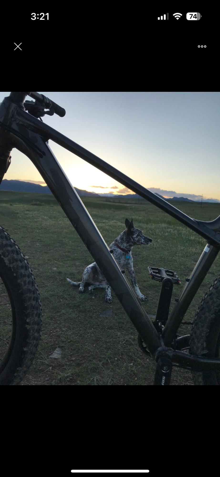 2019 Trek 585984 Black