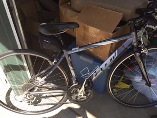 2010 Fuji Newest 2.0 Silver or Gray