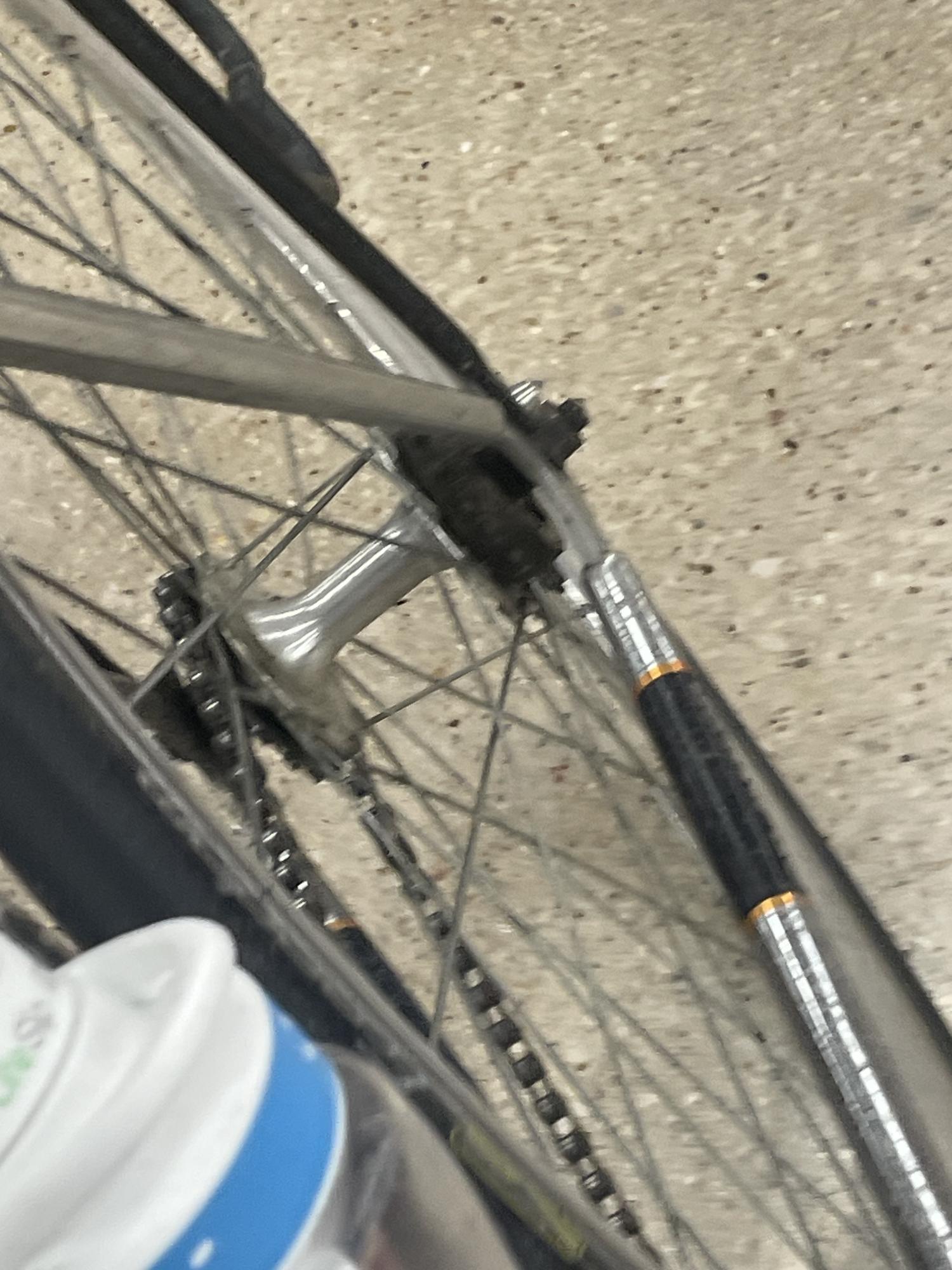 SE Bikes Lager Silver, gray or bare metal