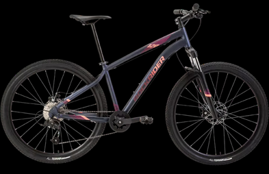 2021 Decathlon Purple and Pink