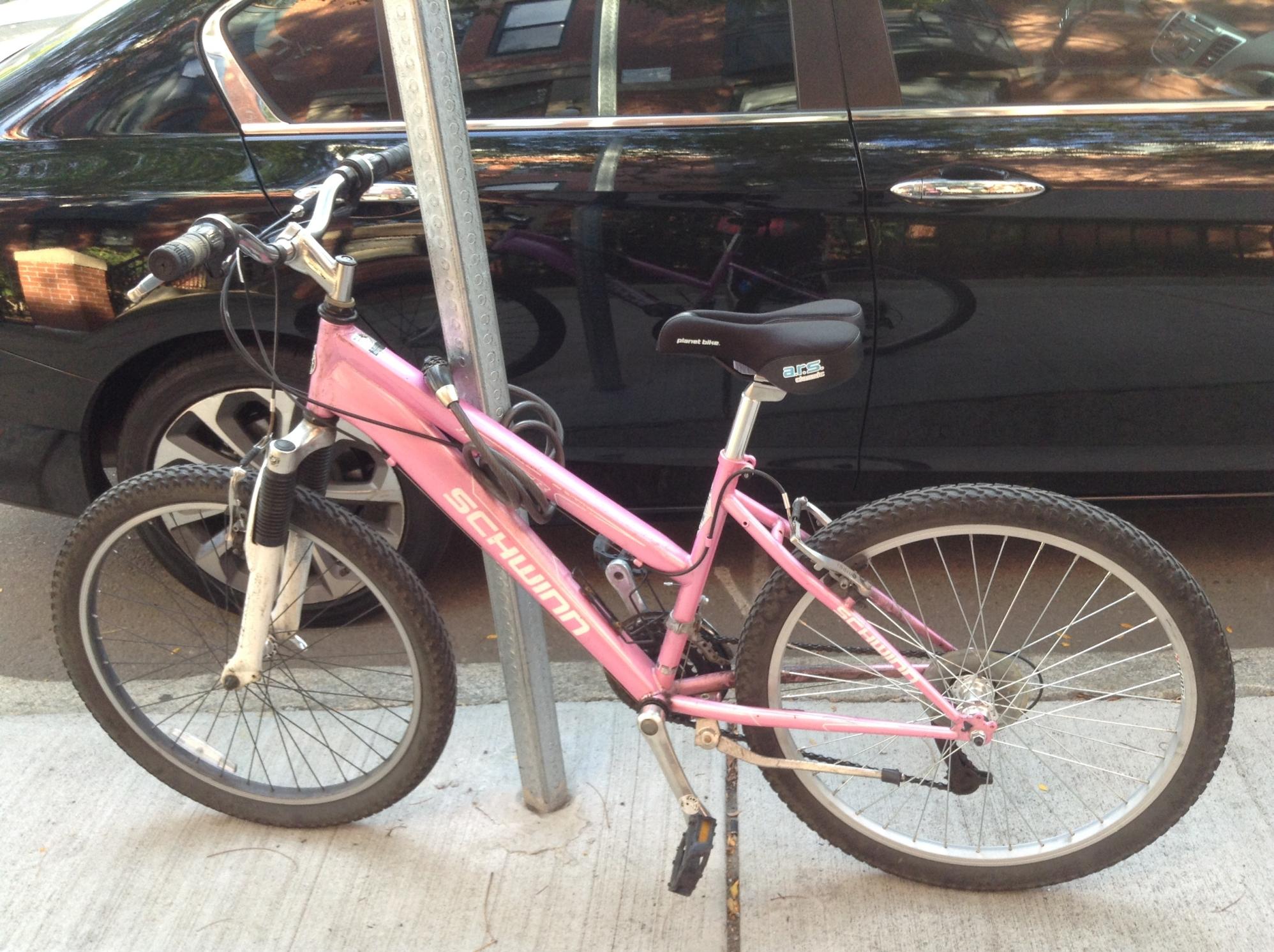 Schwinn Pink