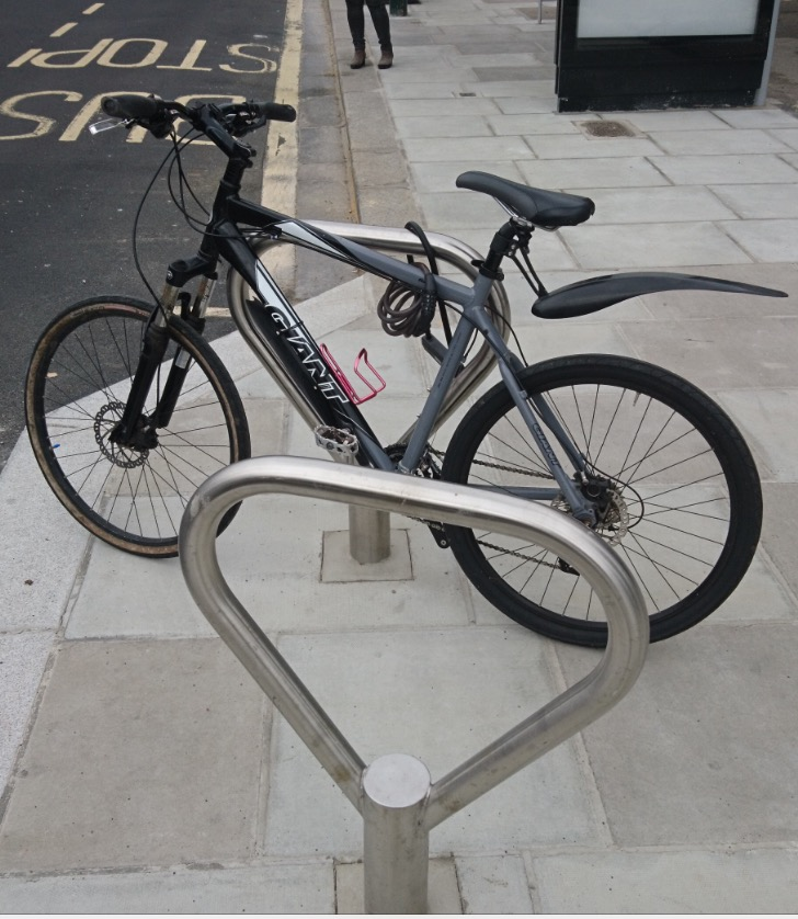 Giant Rainier Silver or Gray