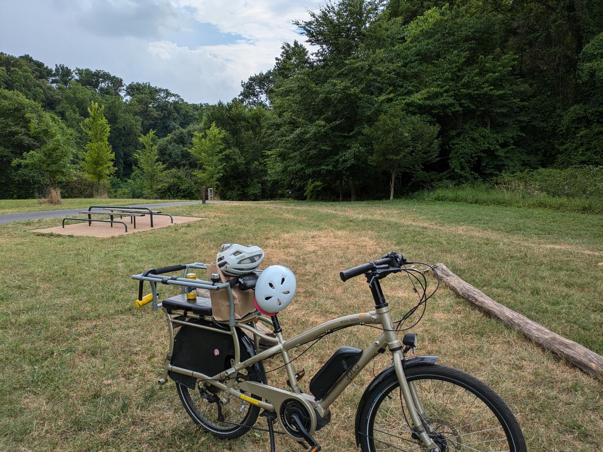 2020 Yuba Boda Boda Silver, gray or bare metal