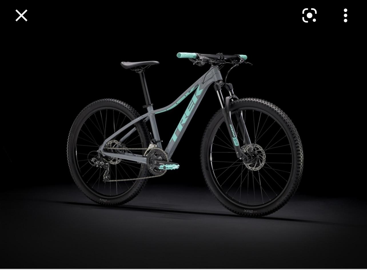 2022 Trek Aluminum Silver, gray or bare metal and Teal