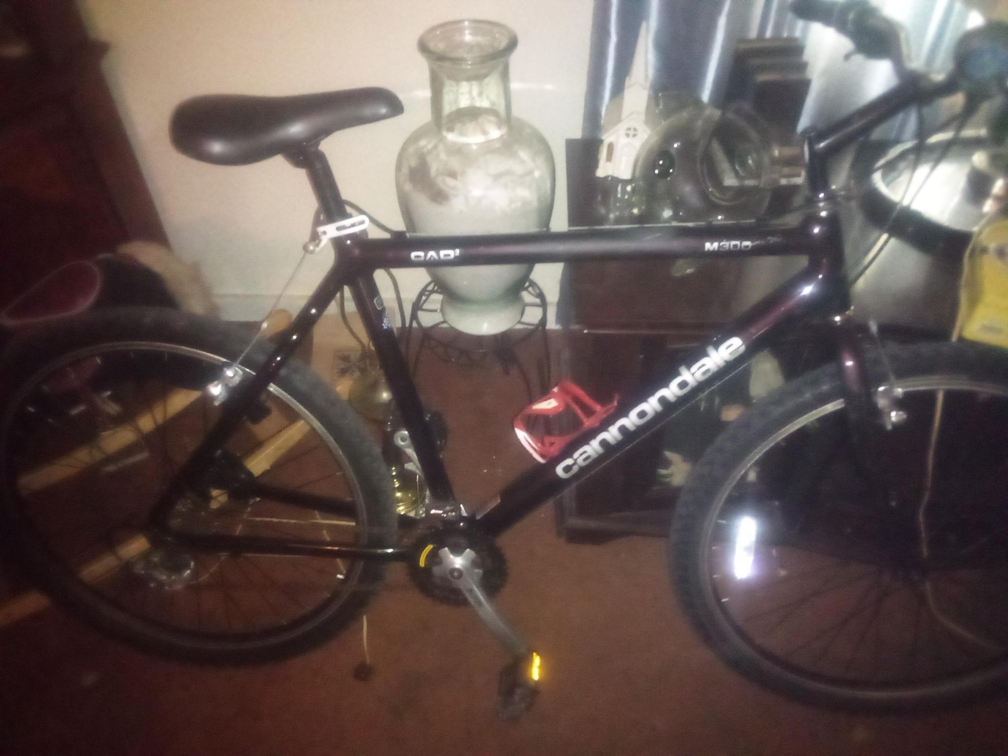 Cannondale M300 Black