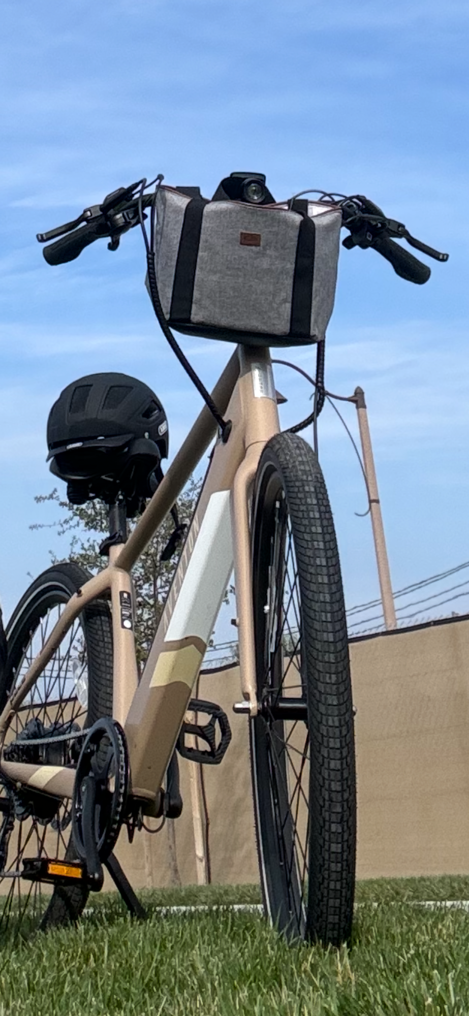 Aventón Pace 500.2 Yellow or Gold and Black