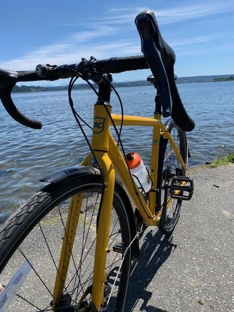 Kona rove Yellow or Gold