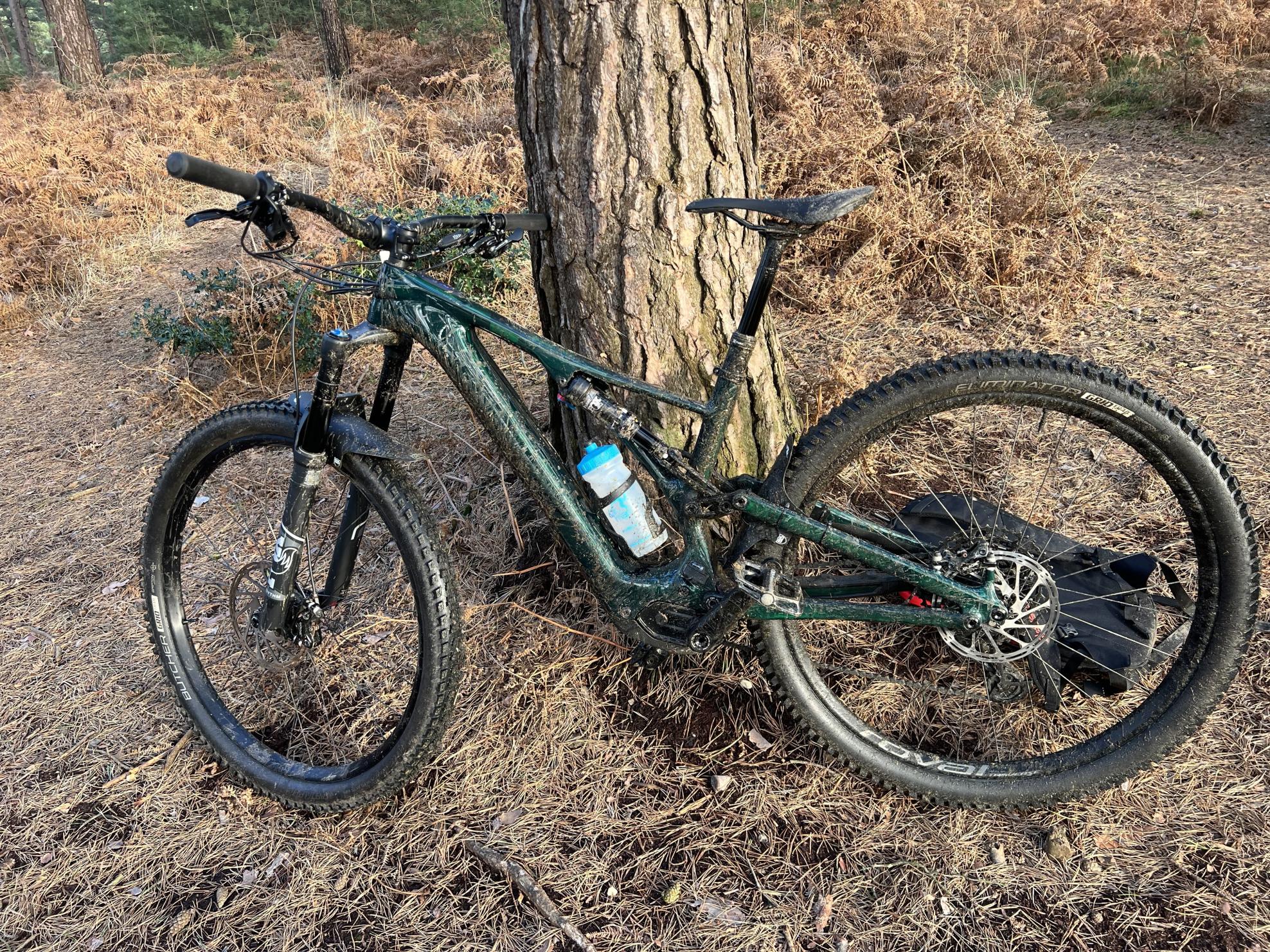 2021 Specialized Green