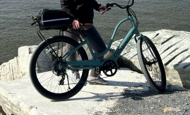 2022 Electra Townie Go 7D Step Thru Silver, gray or bare metal