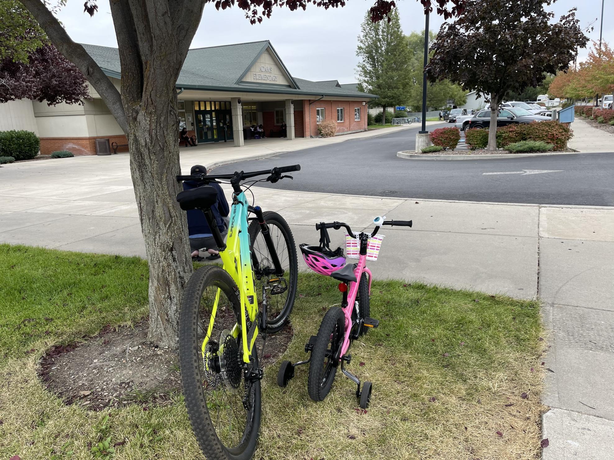 2020 Trek SUPERCALIBER 9.7 NX ML MIAMI GREEN TO... Green