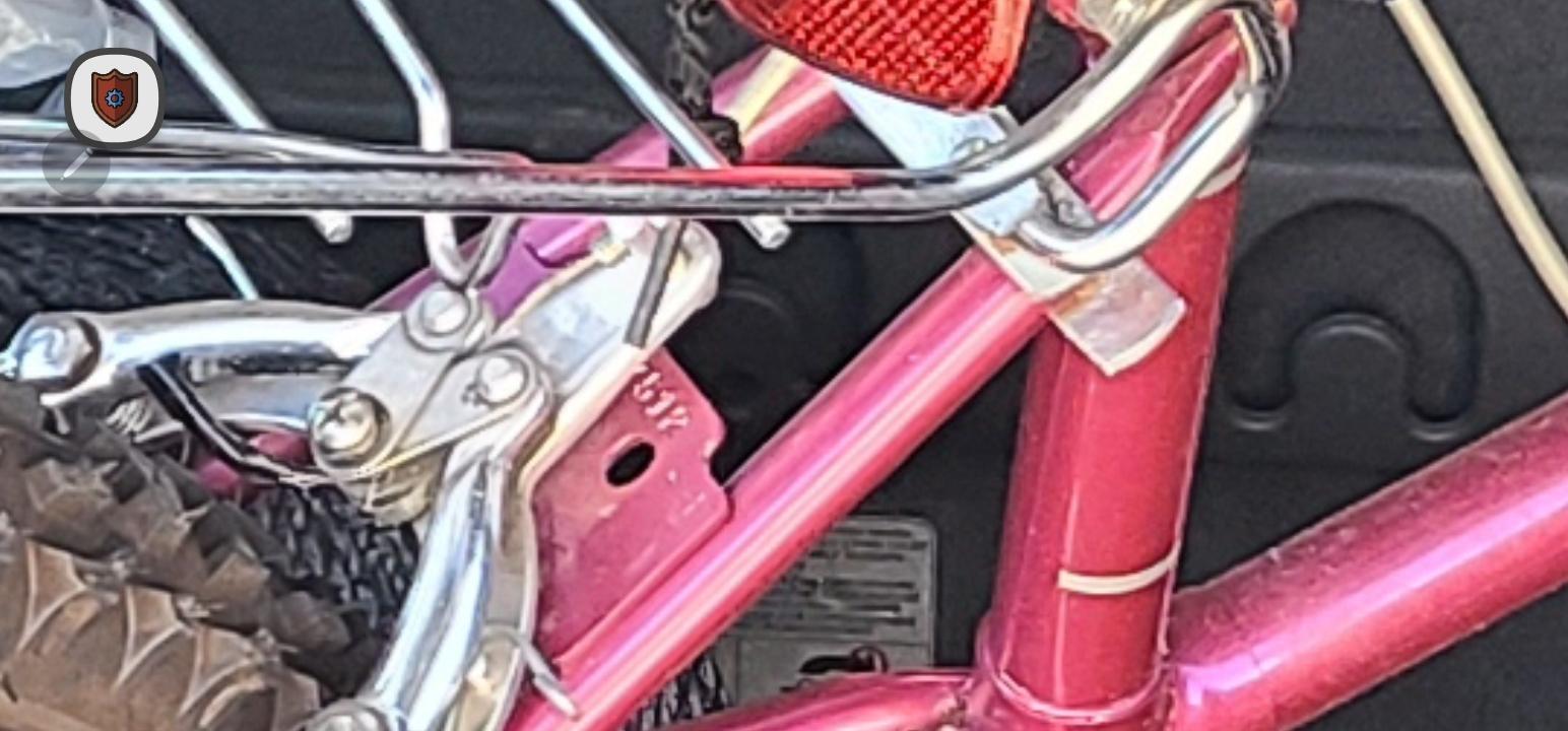 Sportster Trail Runner Pink