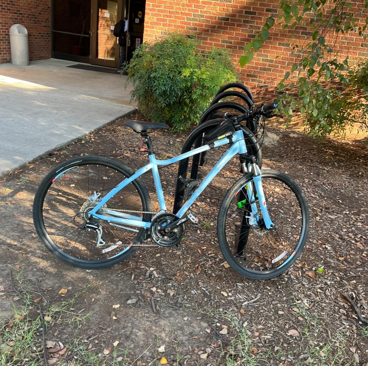 2017 Giant Rove 3 Blue