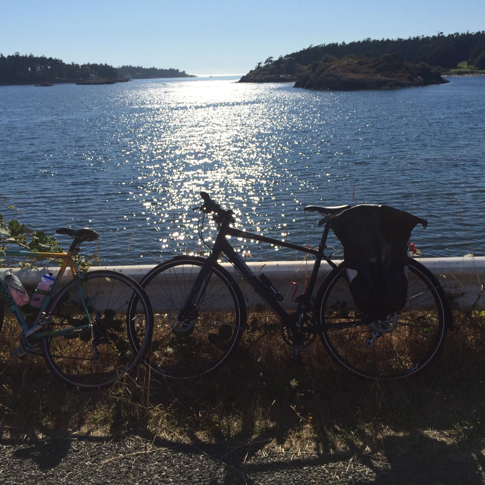 2013 Specialized Sirrus Elite Disc Black