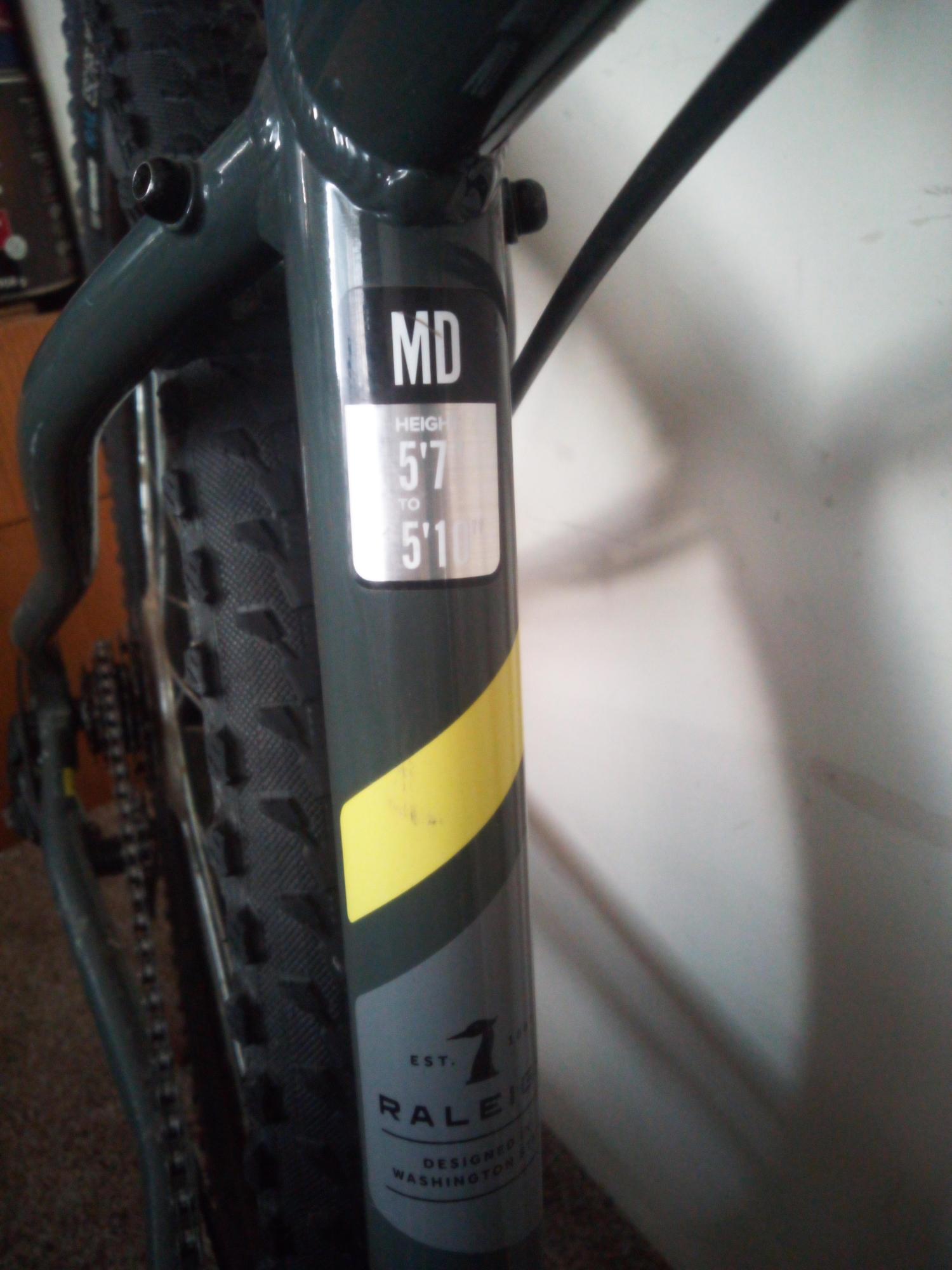 2021 Raleigh Talus 2 Silver, gray or bare metal