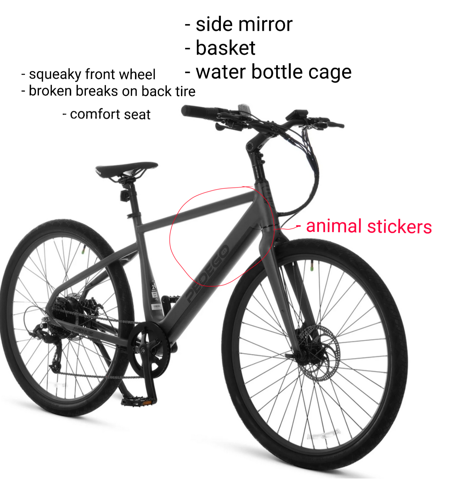 2025 Pedego Avenue Classic Silver, gray or bare metal