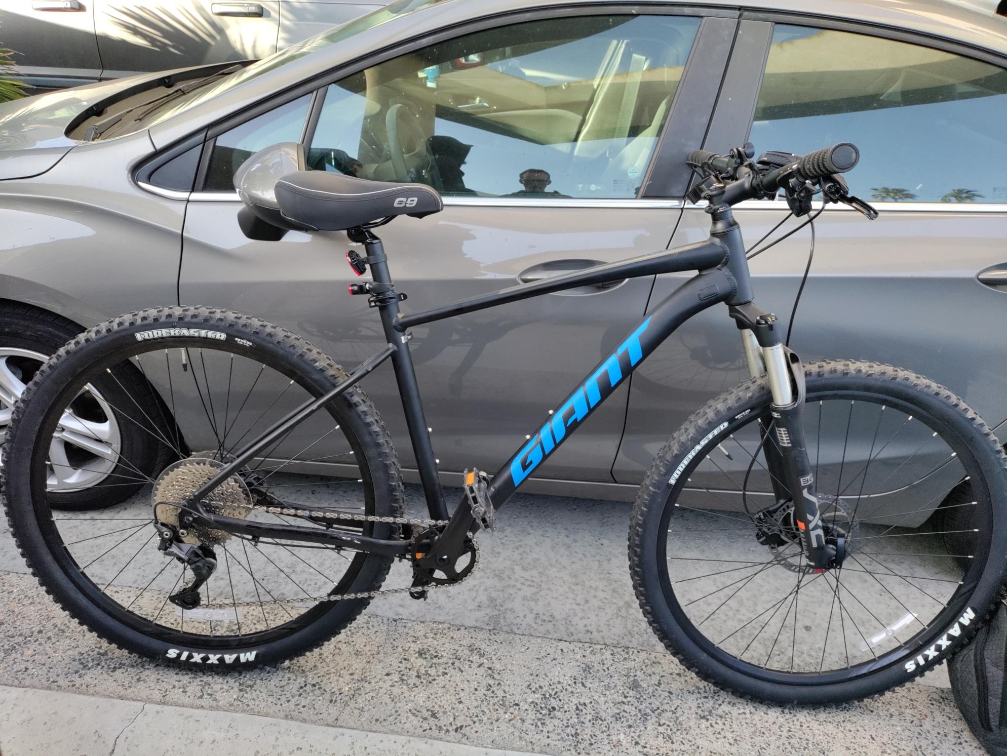 Giant Giant Black and Blue