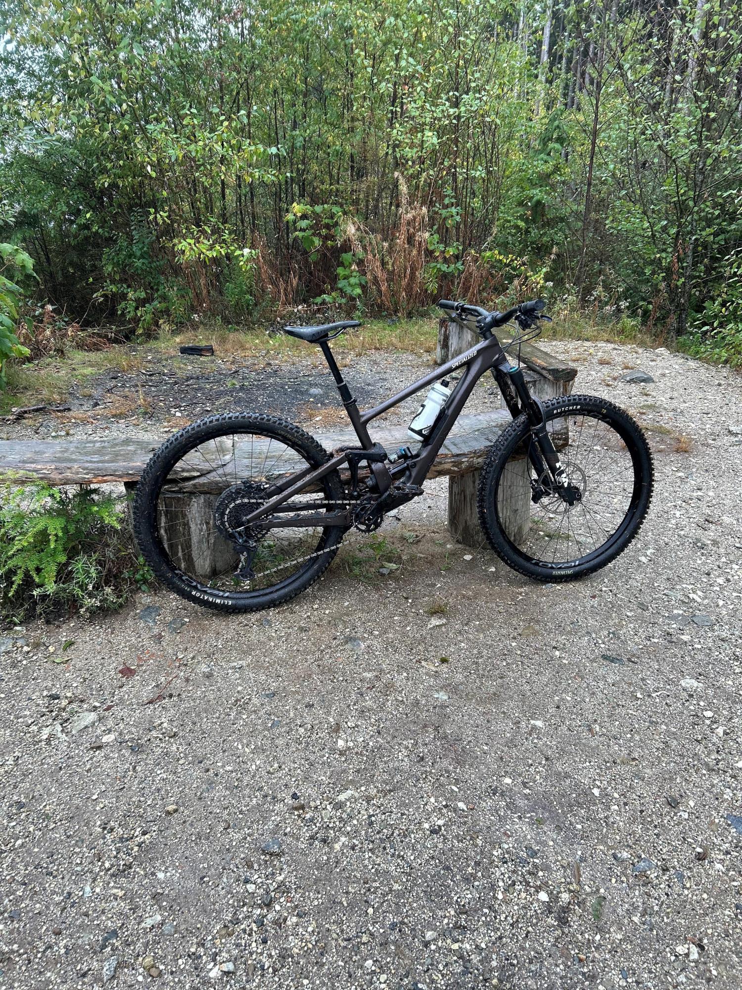 2022 Specialized Enduro Brown