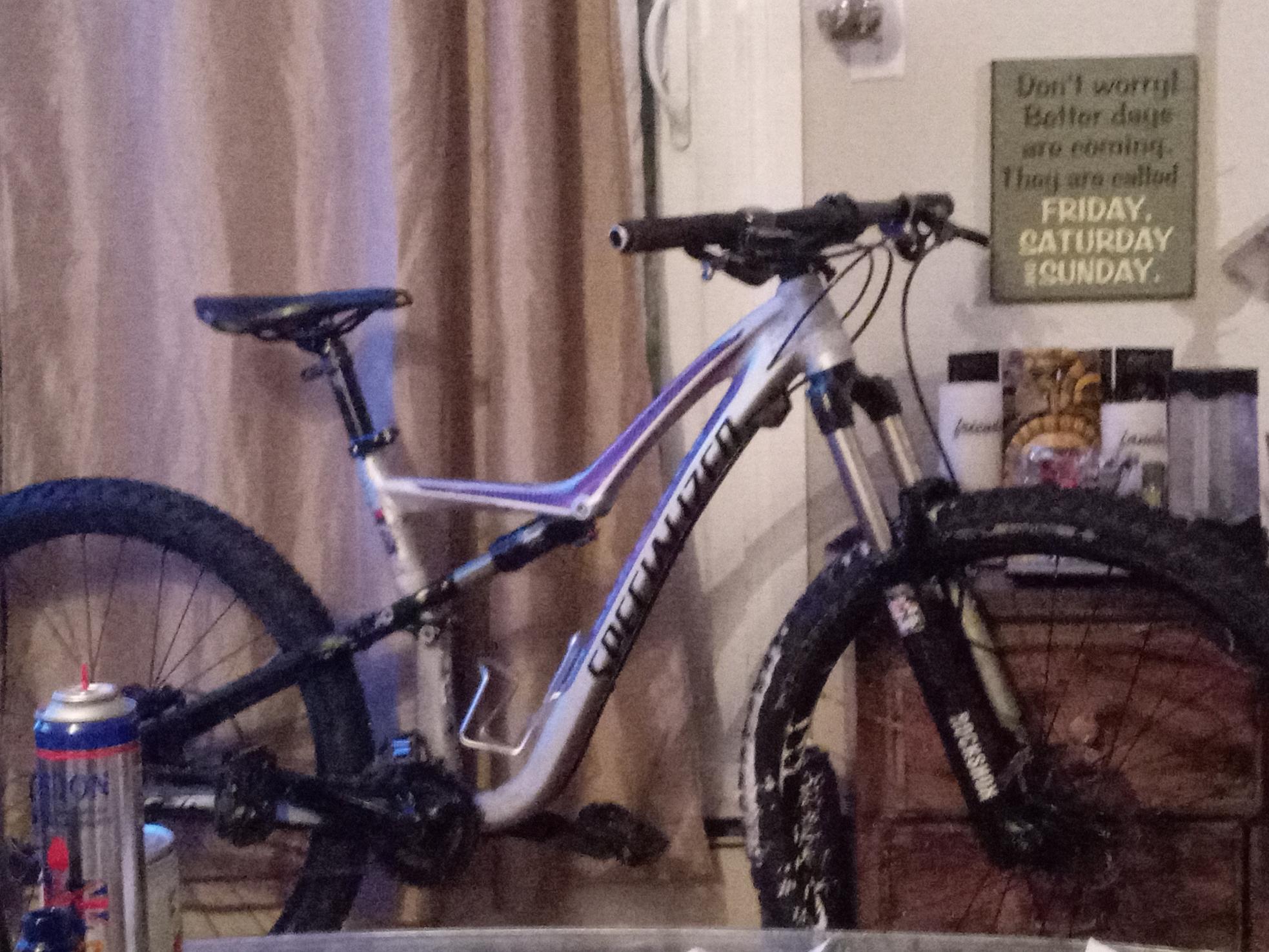 2024 Specialized Silver, gray or bare metal