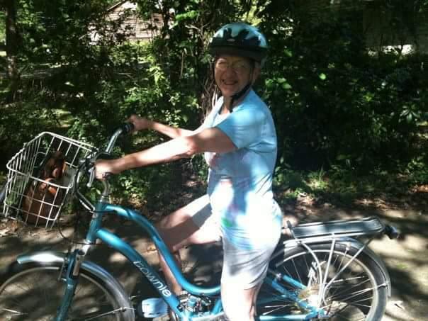 2017 Electra Townie Cruiser Blue