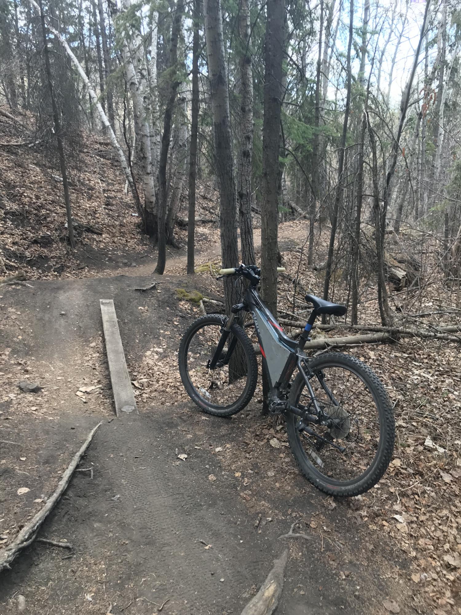 2009 Giant Rincon Brown