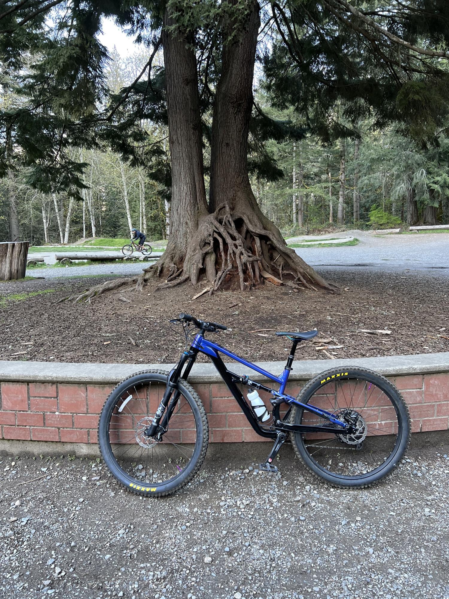 2021 Polygon Siskiu T8 Purple