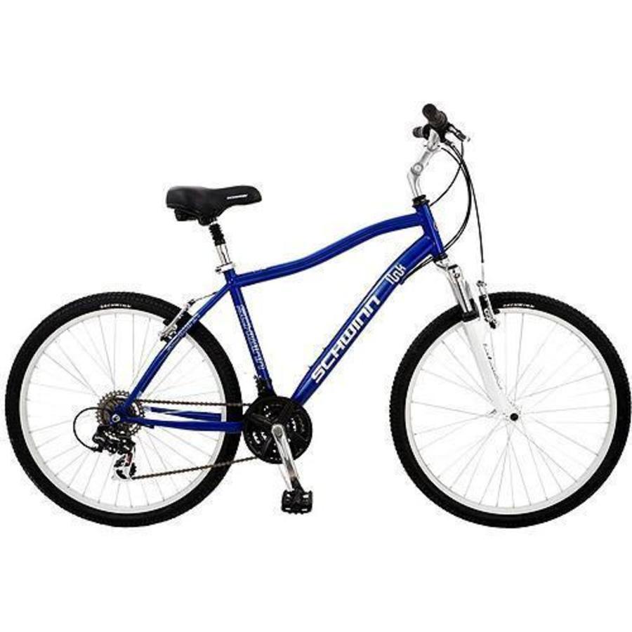 2010 Schwinn Link  Blue and White