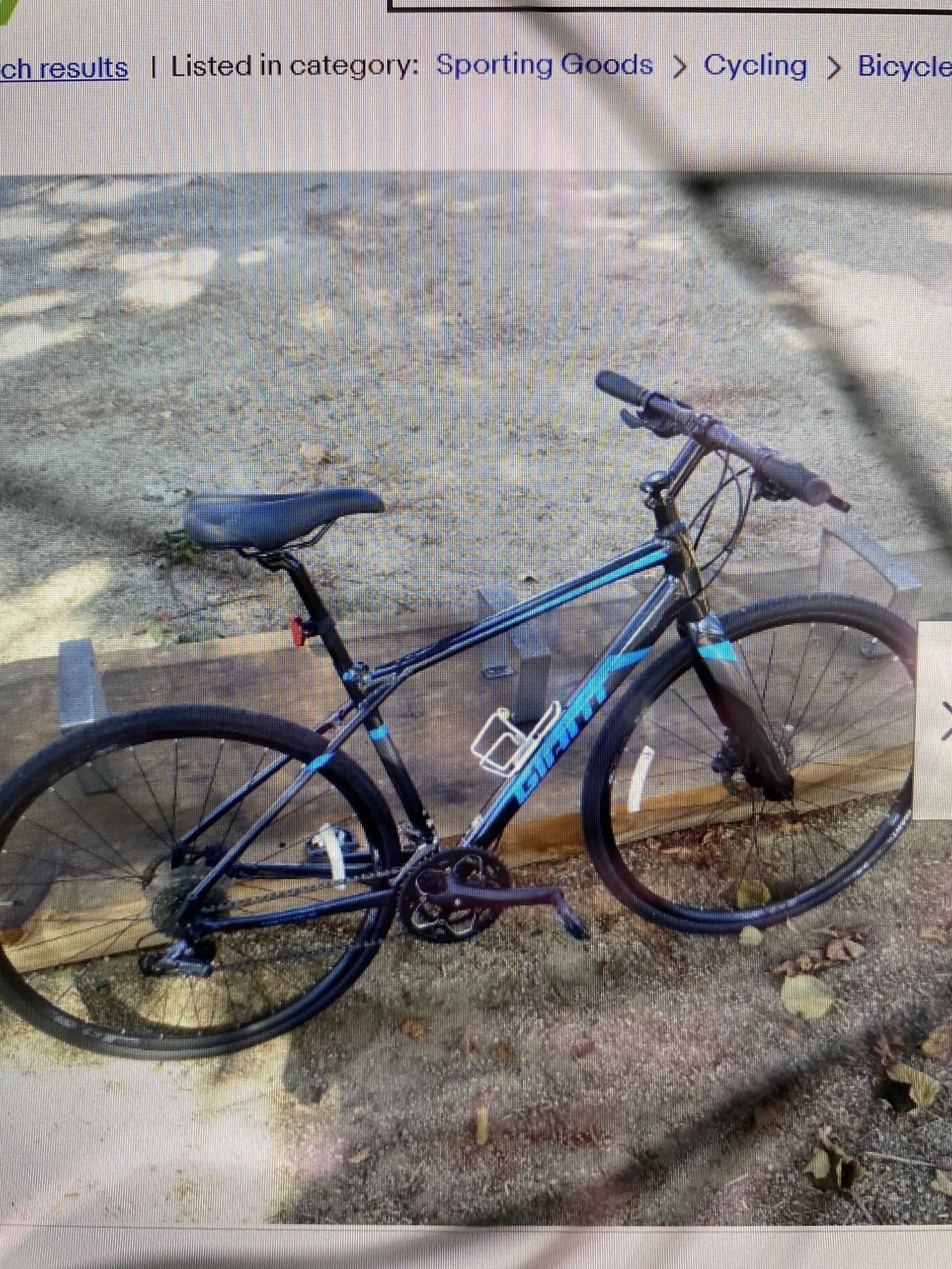 Giant FastRoad Black and Blue