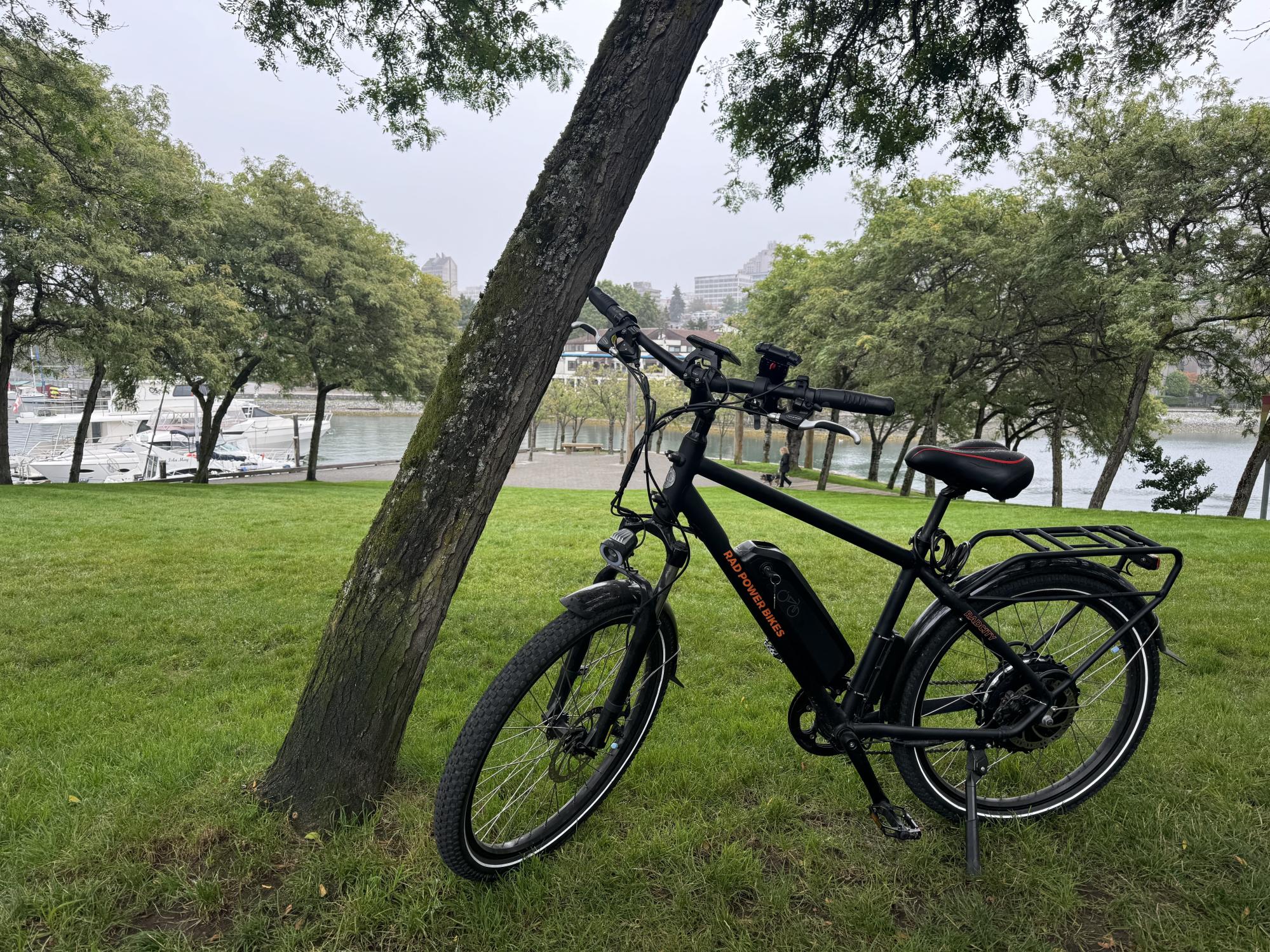 Rad Power Bikes Black