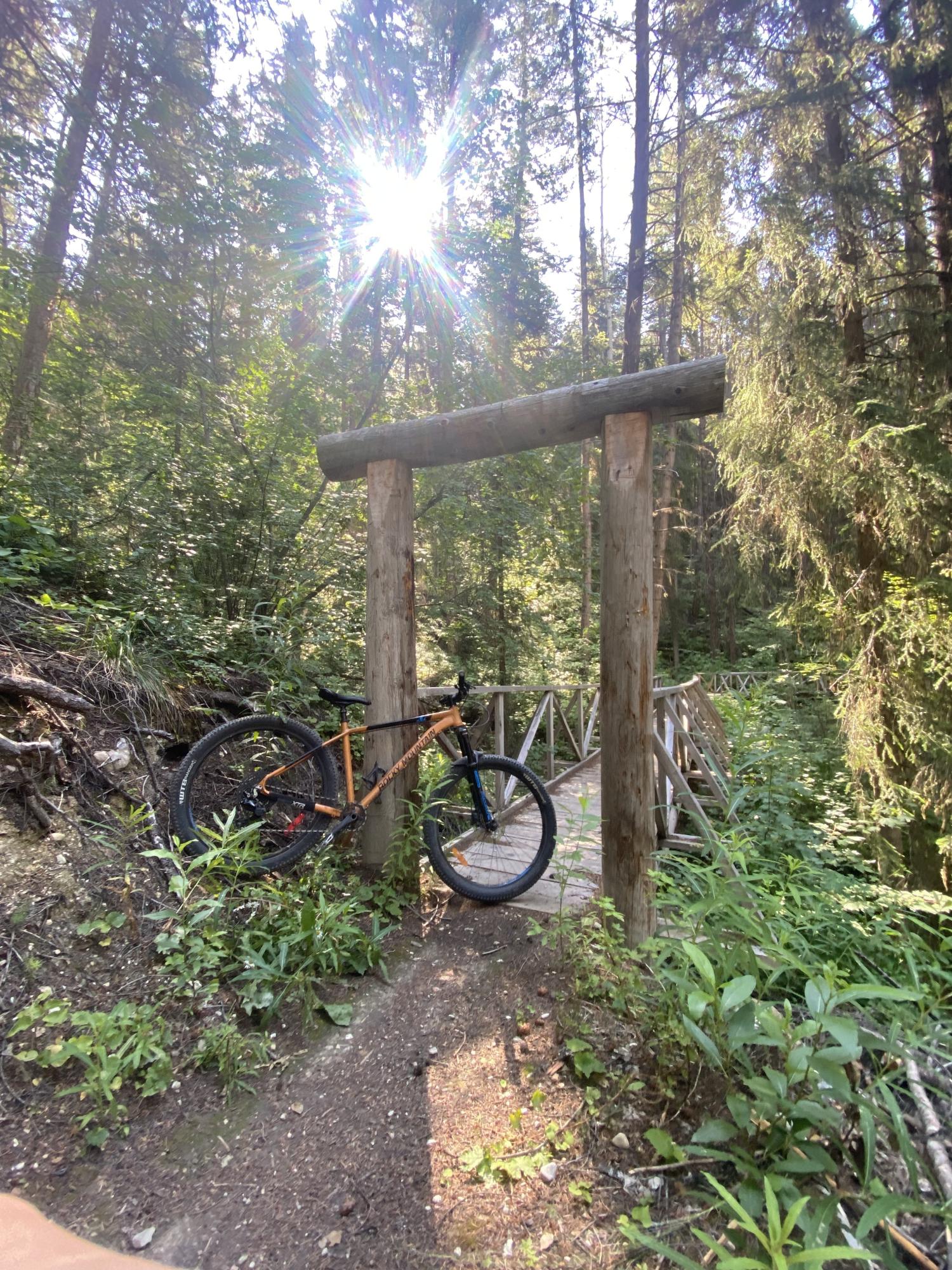 2019 Rocky Mountain Bicycles Growler Orange
