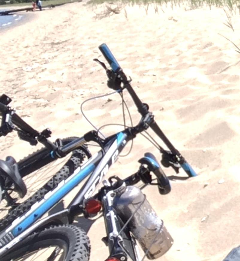 2014 SCOTT Scale 960 29er Black and Blue