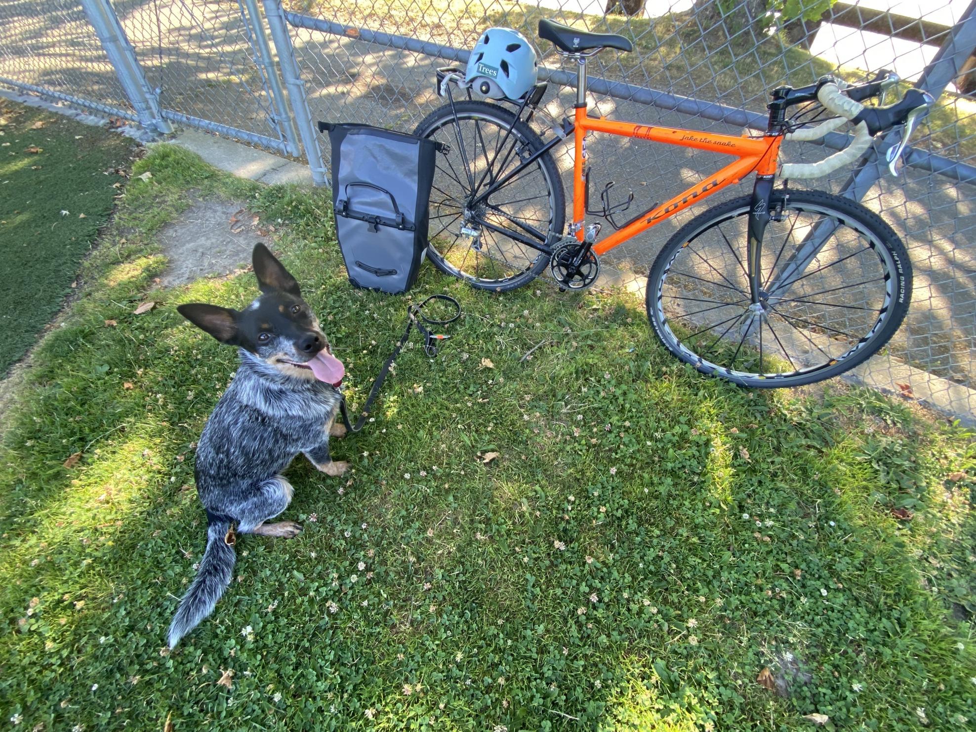 Kona JAKE THE SNAKE Orange