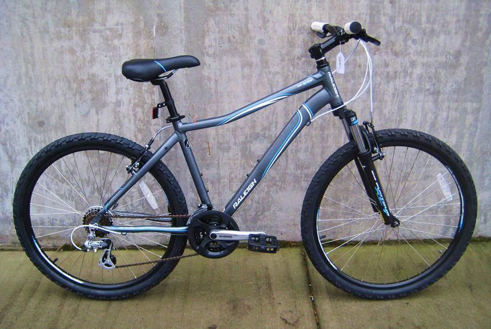 2014 Raleigh Eva 2.0 Silver or Gray