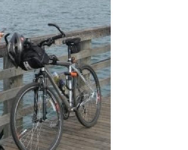 2008 Scott Sportster P3  Black