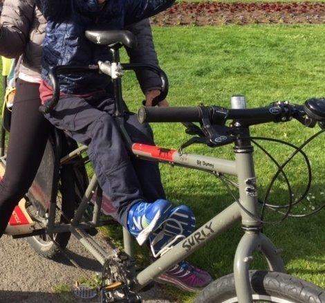 Surly Big Dummy Green