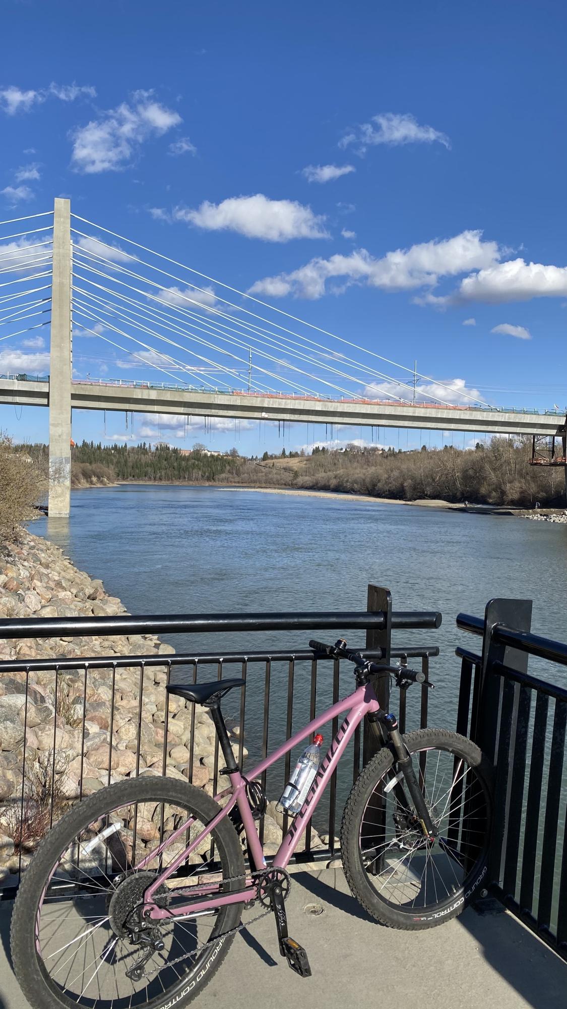 2019 Specialized Pitch Black and Purple