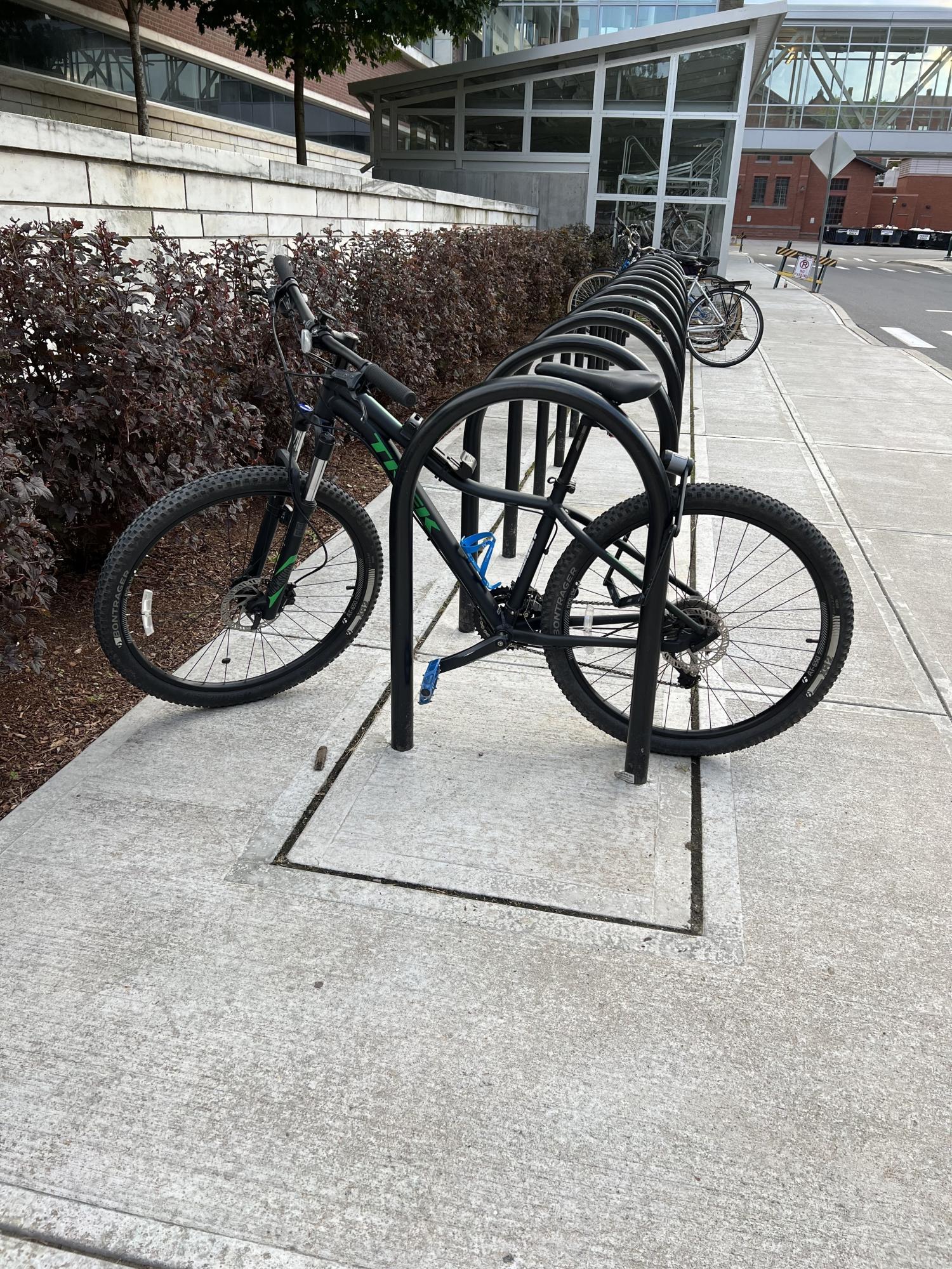 2017 Trek Cali S Black