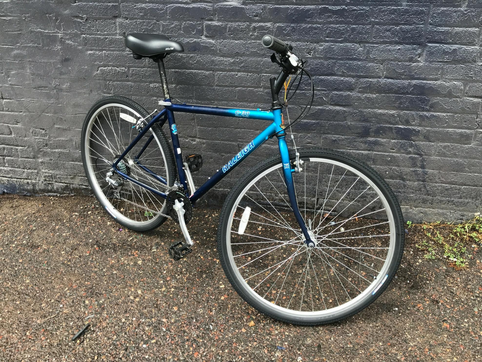 Raleigh 18 Inch Blue