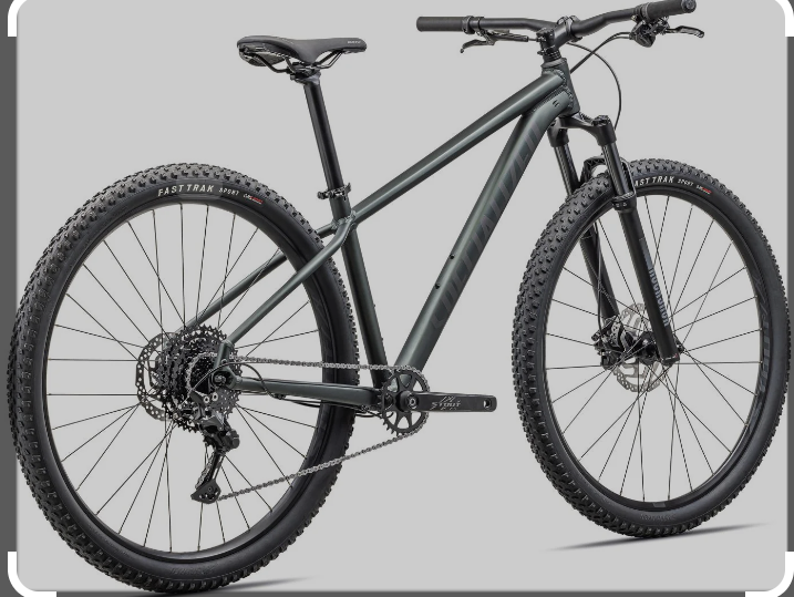 2020 Specialized Stout Blue