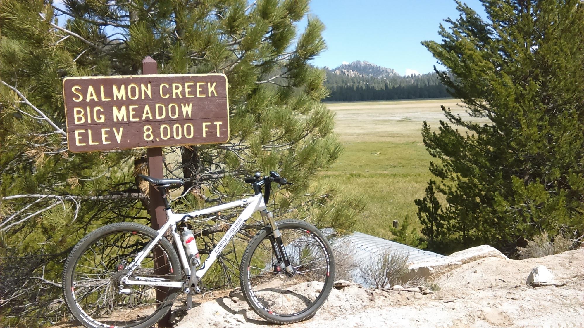 2008 Gary Fisher Paragon White