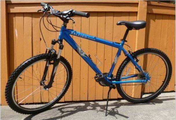 2006 Raleigh Mojave 4.5 Blue