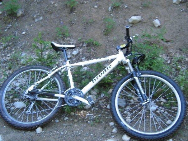 Brodie Mountain Bike  White