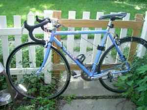 Trek 1100  Black