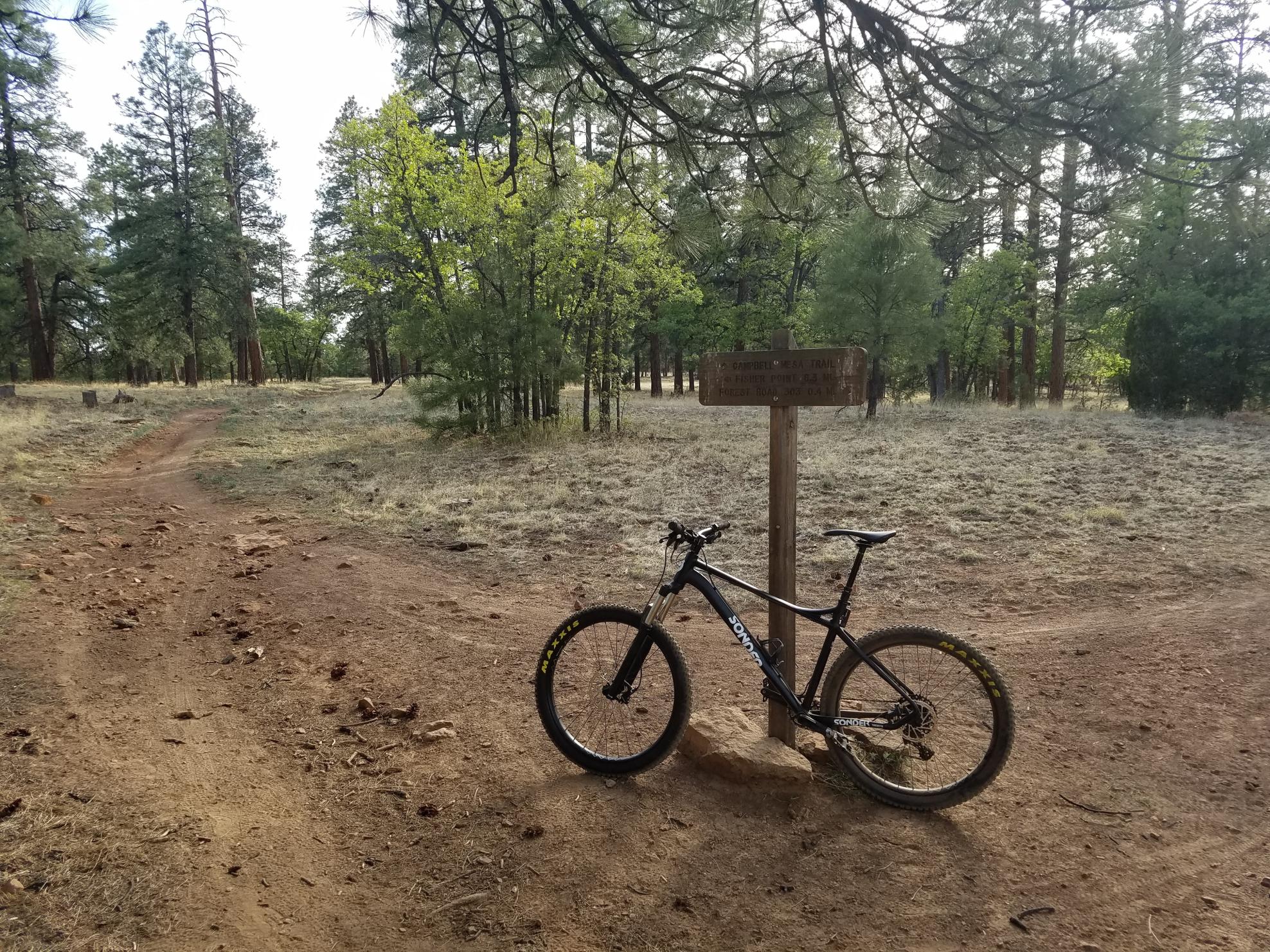 2018 Sonder Transmitter Black