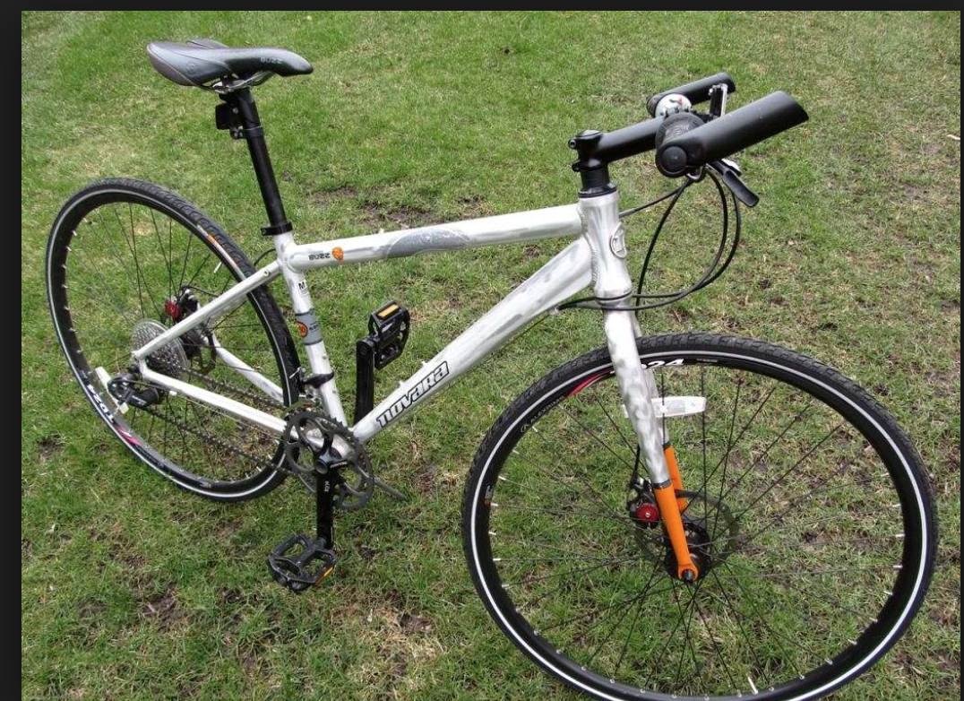 2008 Novara Big Buzz Silver or Gray and Orange