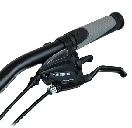 2017 Turbo Bicycles Mexico 29