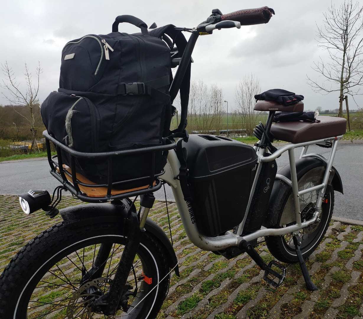 2020 Rad Power Bikes Radrunner Plus Silver, gray or bare metal