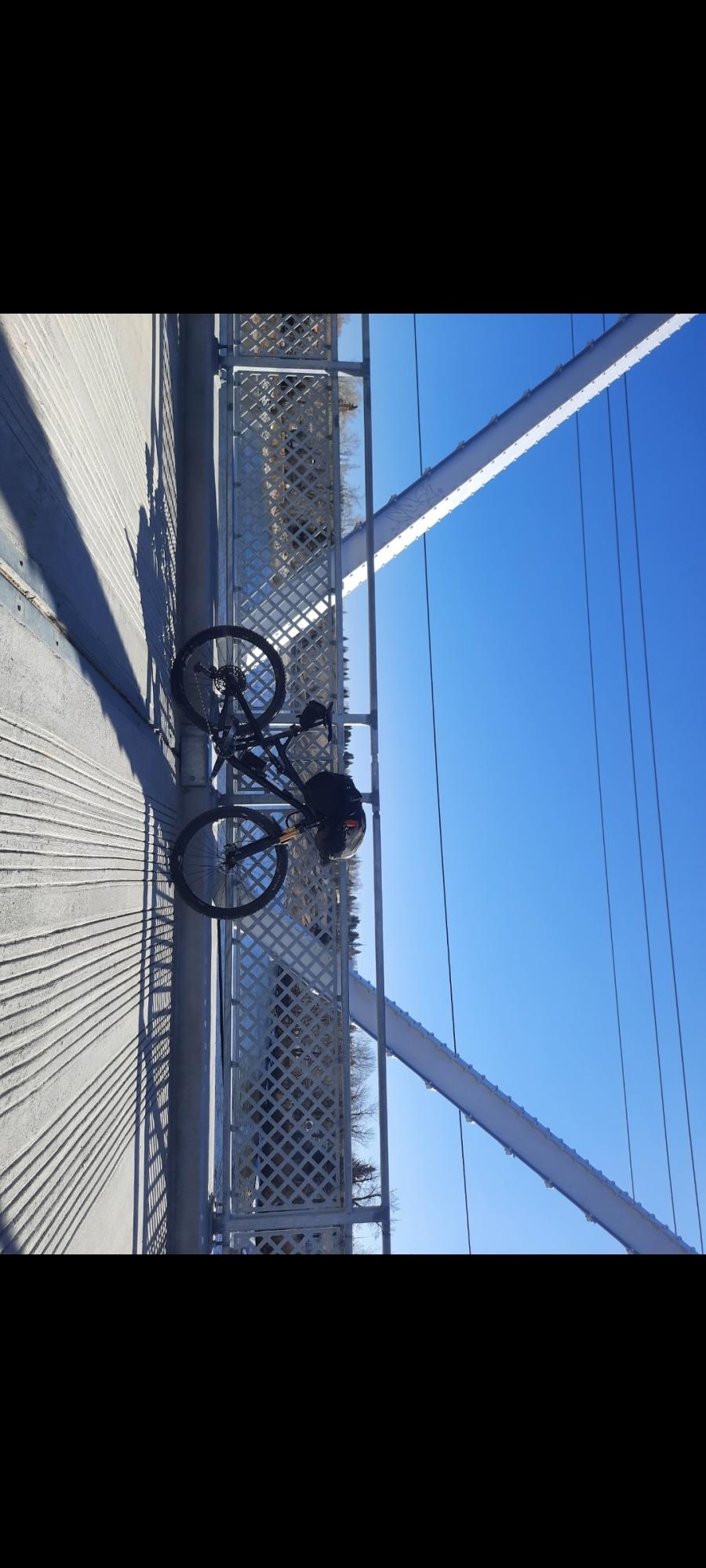 2017 Intense Spider 29c Black