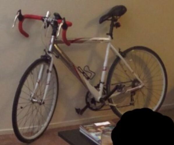 Schwinn White and Red