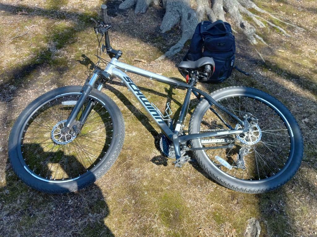 2017 Schwinn Al Comp Silver, gray or bare metal